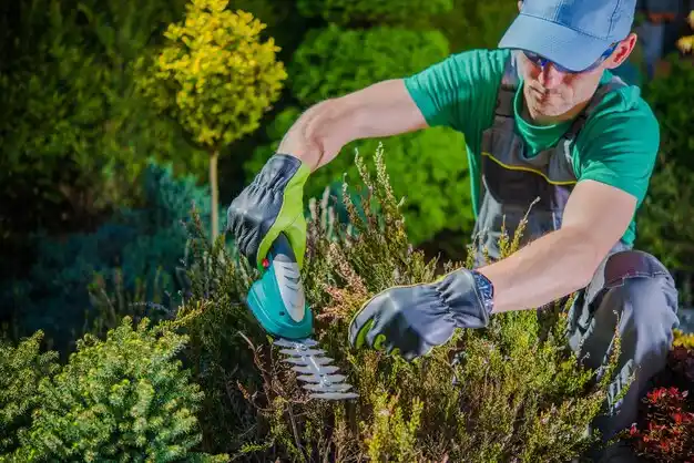 landscaping services Gaylord
